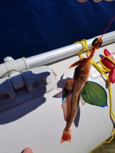 まだまだ・・。